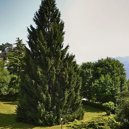 Chic And Freak Lejlighed